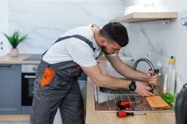 Best Affordable Plumbing Services  in Richmond, MI